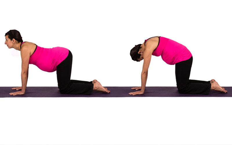 Prenatal Yoga: 17 Poses to Ease Aches, Discomforts & Stress | 8fit