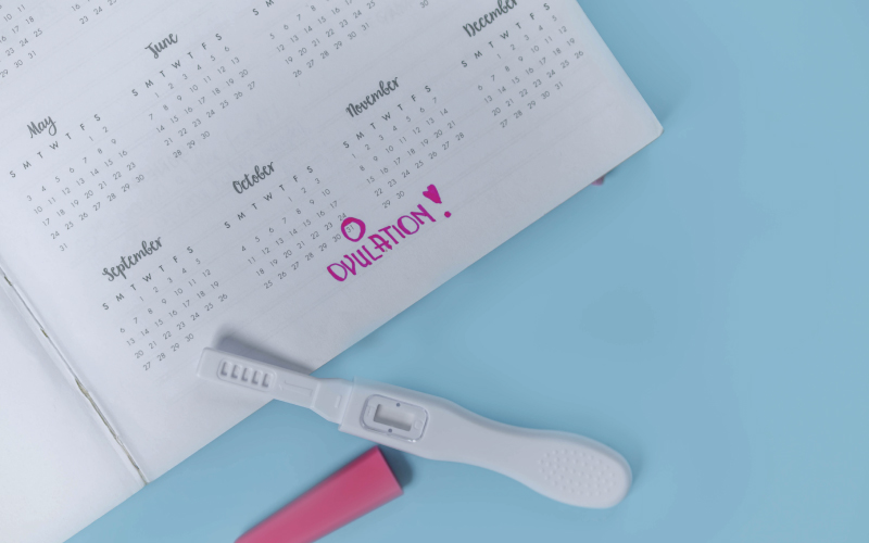 Ovulation Calculator- Know Your Most Fertile Days