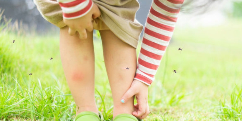 Mosquito Bites Prevention for Babies